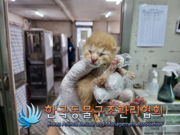한국동물구조관리협회_411312202400833